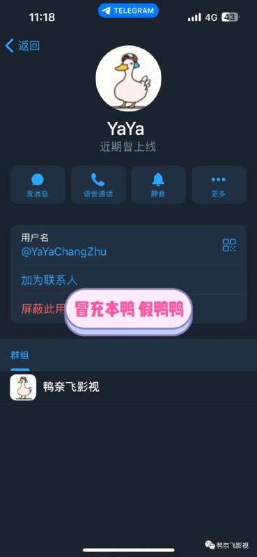 鸭部落官方公告：在这里说一下，鸭奈飞的官网地址只有Yanetflix.com 和 Netflix.MOM（鸭奈飞已经一去不复返了，后续做出合法合规的平台会公布！）其他的都不是，均为冒充，我也关注到TG有个冒充我的假鸭鸭，竟然还骗鸭友的钱，相关的东西已经提交，大家认清楚