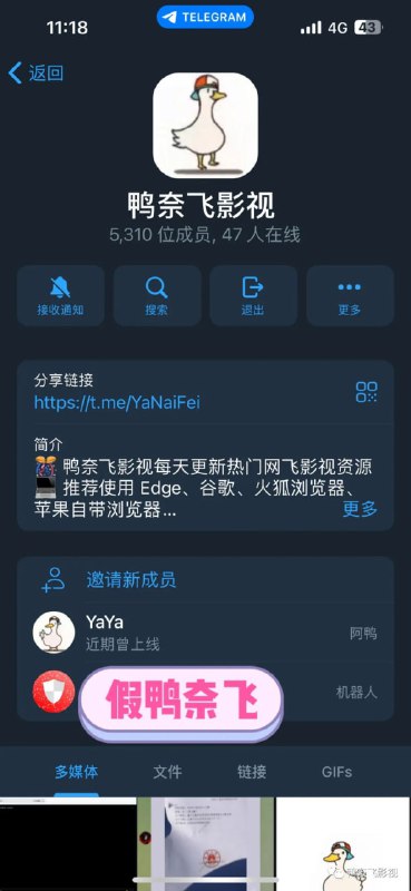 鸭部落官方公告：在这里说一下，鸭奈飞的官网地址只有Yanetflix.com 和 Netflix.MOM（鸭奈飞已经一去不复返了，后续做出合法合规的平台会公布！）其他的都不是，均为冒充，我也关注到TG有个冒充我的假鸭鸭，竟然还骗鸭友的钱，相关的东西已经提交，大家认清楚