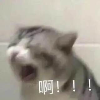 #你以为这是女孩子受不了了啊  太漂亮了啊#你以为这是女孩子受不了了啊  太漂亮了啊