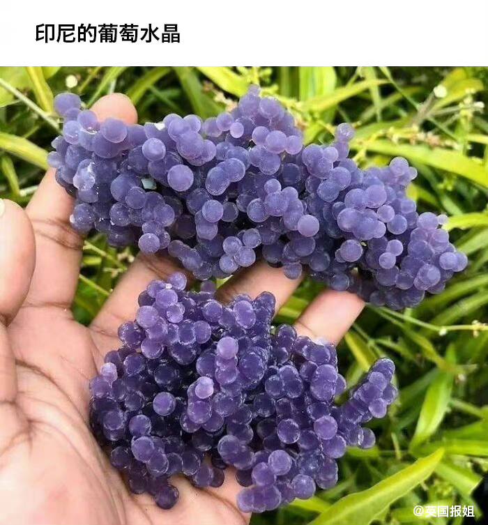 那些看起来很好吃，却不能吃的东西…… ------------------------🏷▶︎ Channel ┇@科技·狐🦊那些看起来很好吃，却不能吃的东西…… ------------------------🏷▶︎ Channel ┇@科技·狐🦊