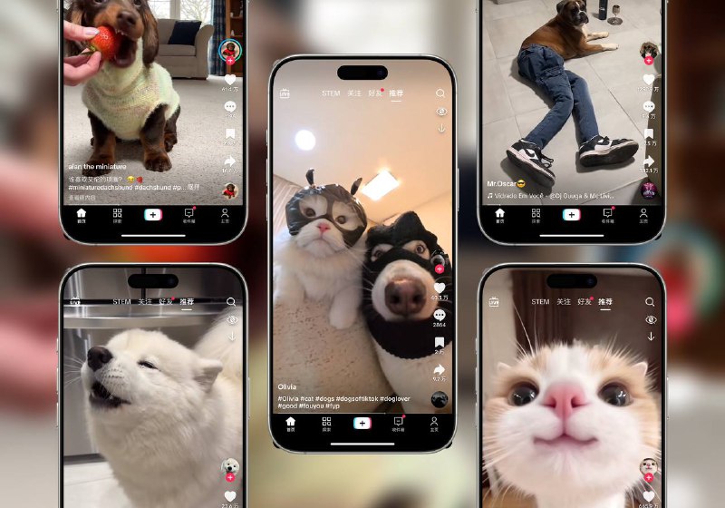 Tiktok | v39.7.6 抖音国际版 解锁全部国家任意切换版+视频去水印+去广告+高度自定义功能🖥 39.7.6 Mod⚠️ 登录不上的看这里平台：#Android 标签：#Tiktok #抖音 #抖音国际版📣 频道  🐱 群聊  📦 汉化包