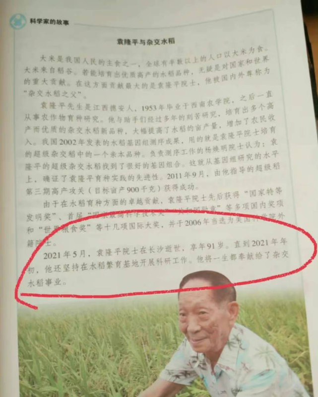 袁隆平 与杂交水稻，令人泪崩的新版教材