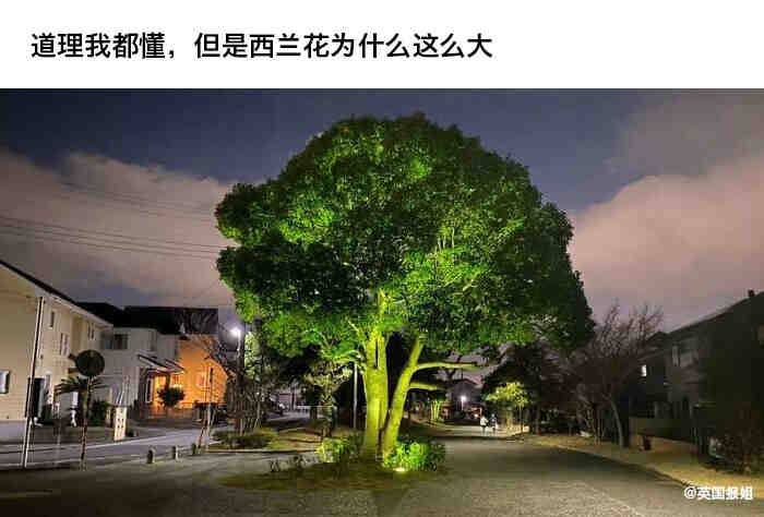 那些看起来很好吃，却不能吃的东西…… ------------------------🏷▶︎ Channel ┇@科技·狐🦊那些看起来很好吃，却不能吃的东西…… ------------------------🏷▶︎ Channel ┇@科技·狐🦊