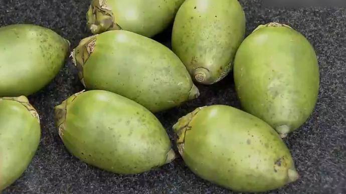 #土耳其 认定槟榔为毒品     8月12日，中国驻伊斯坦布尔总领事馆发布消息称，请中国同胞切勿携带槟榔入境土耳其