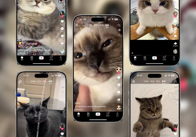 Tiktok | v39.3.3 抖音国际版 解锁全部国家任意切换版+视频去水印+去广告+高度自定义功能 🏬 39.3.0 Mod | 🖥 39.3.3 Mod⚠️ 登录不上的看这里平台：#Android #iOS标签：#Tiktok #抖音 #抖音国际版📣 频道  🐱 群聊  📦 汉化包