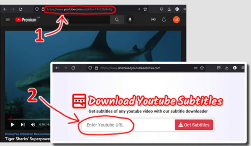 📹 Youtube ▎轻松免费下载Youtube字幕🗣️👥【支持平台】：#Web📱【应用标签】：#字幕 #YouTube💻【软件简介】：    只需要几秒钟内快速保存下载.srt/.vtt或.txt格式的任何Youtube视频的字幕📺 字幕地址：点我直达😀➖➖➖➖➖➖➖➖➖🦊 频道    📖讨论组  ☁️ 投稿Bot