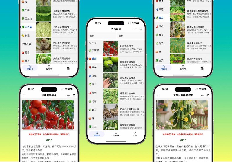 👥 植物小帮手 |  植物病虫害一站式解决　如果能亲手种出一颗，哪怕酸涩也会觉得甜