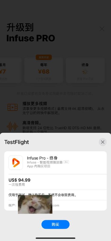 🥶🐬iOS 免费解锁 #infuse Pro终身订阅 #限免TestFlight链接✅