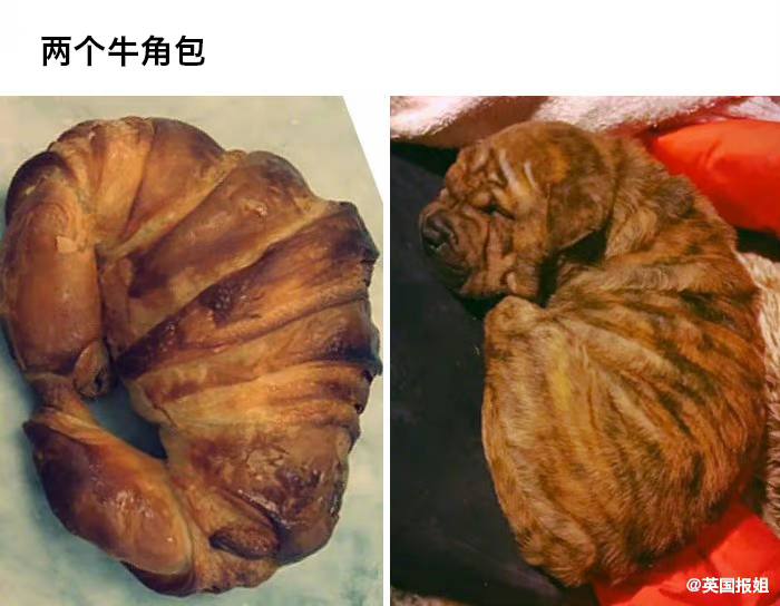 那些看起来很好吃，却不能吃的东西…… ------------------------🏷▶︎ Channel ┇@科技·狐🦊那些看起来很好吃，却不能吃的东西…… ------------------------🏷▶︎ Channel ┇@科技·狐🦊