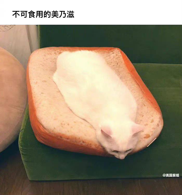 那些看起来很好吃，却不能吃的东西…… ------------------------🏷▶︎ Channel ┇@科技·狐🦊那些看起来很好吃，却不能吃的东西…… ------------------------🏷▶︎ Channel ┇@科技·狐🦊