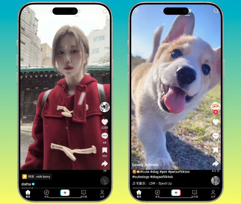 Tiktok | v39.0.3 抖音国际版 解锁全部国家任意切换版+视频去水印+去广告+高度自定义功能 🏬 38.7.0 Mod | 🖥 v39.0.3 Mod平台：#Android #iOS标签：#Tiktok #抖音 #抖音国际版📱 官方汉化包: 简中 | 繁体 | English📱 频道交流群：秀儿の科技分享社