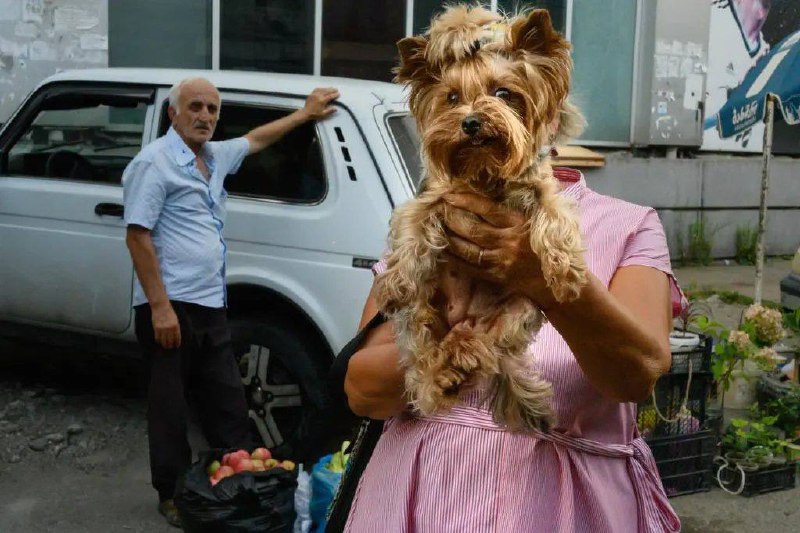 ☺️☺️让我们来欣赏下2022年 #锡耶纳国际摄影奖 的照片吧😤
