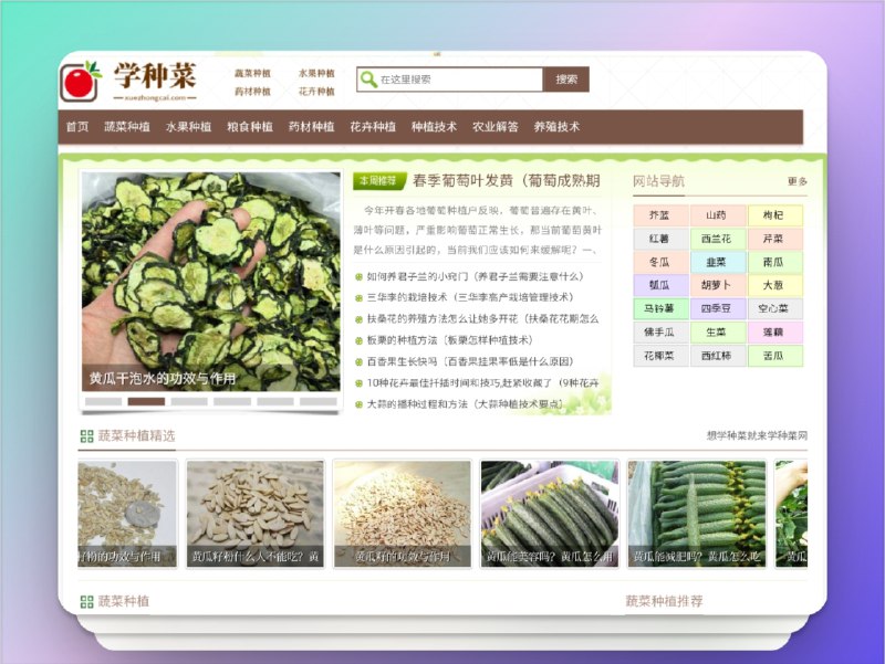 🔖 学种菜 | 零基础学种植的知识宝库　涵盖蔬果花药等多类作物的种植方法与管理要点，包含施肥、防虫、繁殖、养护经验等实用技巧，新手也能一看就懂、一试就会　谁说种菜难？从点开这个网站开始简单了📬 学种菜标签：#蔬菜 #学种菜 #种植教程 #病虫害防治 #种植📮 频道 | 🪧 群聊 | ✨ 中文包