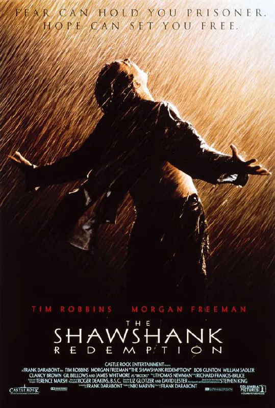 肖申克的救赎|The Shawshank Redemption|4K·蓝光原盘（1994）No.1豆瓣电影Top250美国 / 犯罪 / 剧情 / 1994-09-10(多伦多电影节)上映 / 片长142分钟▍剧情简介：豆瓣评分9.7     一场谋杀案使银行家安迪（蒂姆•罗宾斯 Tim Robbins 饰）蒙冤入狱，谋杀妻子及其情人的指控将囚禁他终生