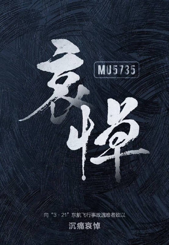 向“3.21”东航飞行事故遇难者             致以沉痛哀悼   🕯️🕯️🕯️🕯️🕯️🕯️🕯️🕯️🕯️