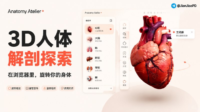 ✈️ Anatomy Atelier | 一个可以在浏览器里查看人体器官的 3D 解剖工具🏷 检索标签：#AnatomyAtelier #3D模型 #人体解剖 #医学 ⭐️ 详情介绍：Anatomy Atelier 是一个基于 Three.js 制作的 3D 人体解剖项目，把原本停留在课本里的器官结构变成了可以旋转、缩放和观察细节的网页模型   🧑 打开网站后，可以直接查看 心脏、大脑、肺、肝脏、肾脏等器官，拖动视角观察空间结构，比单纯看二维图片更容易建立整体认识　页面里除了 3D 模型，还整理了器官的尺寸、重量、位置、功能等资料，并加入显微组织、常见疾病和人体位置等信息💻 GitHub · 🌐 在线体验😌频道 |🙂群聊 |😋中文包 |☺️搜索